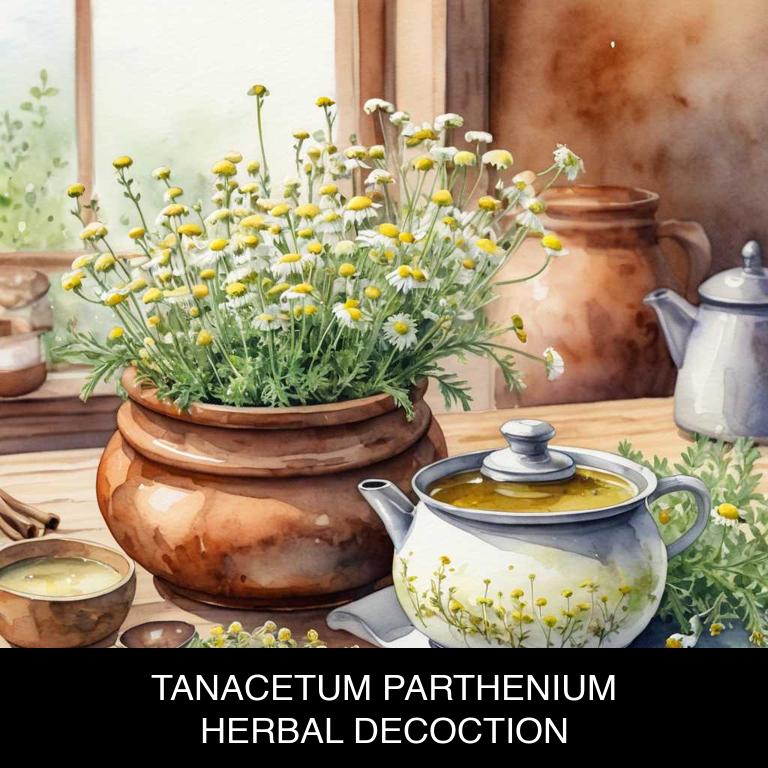 tanacetum parthenium herbal decoctions for taste-changes