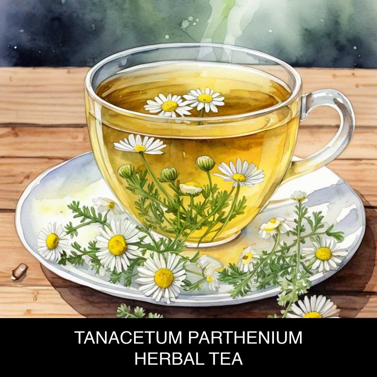 tanacetum parthenium herbal teas for dizziness