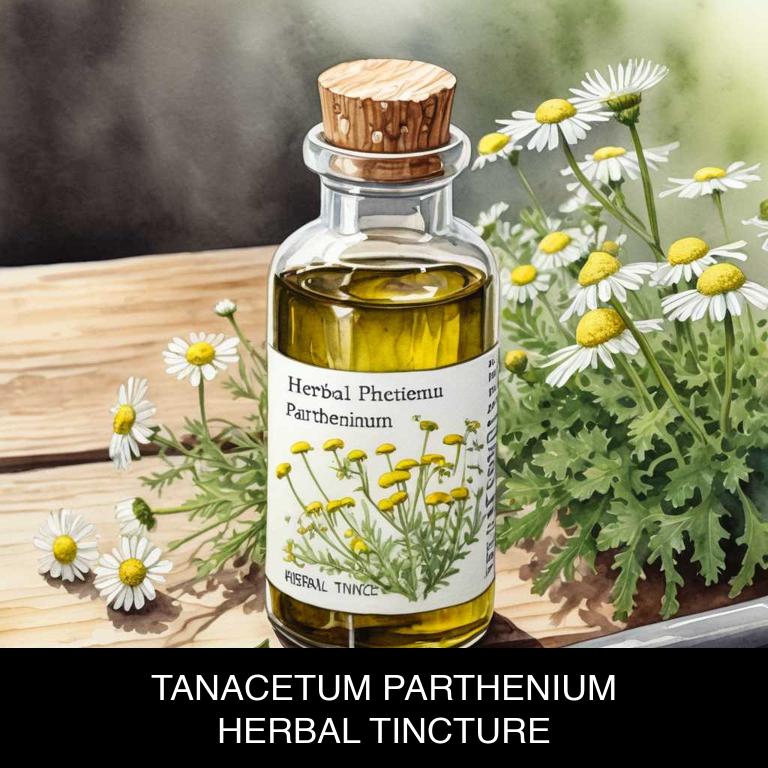 tanacetum parthenium herbal tinctures for migraine