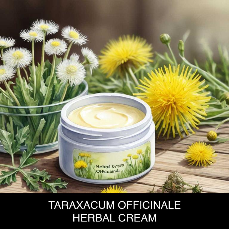 taraxacum officinale herbal creams for chickenpox