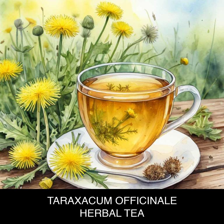 taraxacum officinale herbal teas for high-blood-pressure