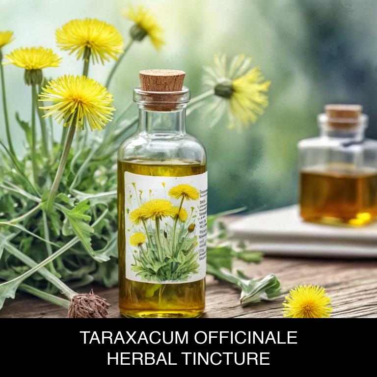 taraxacum officinale herbal tinctures for mouth-bitter-taste