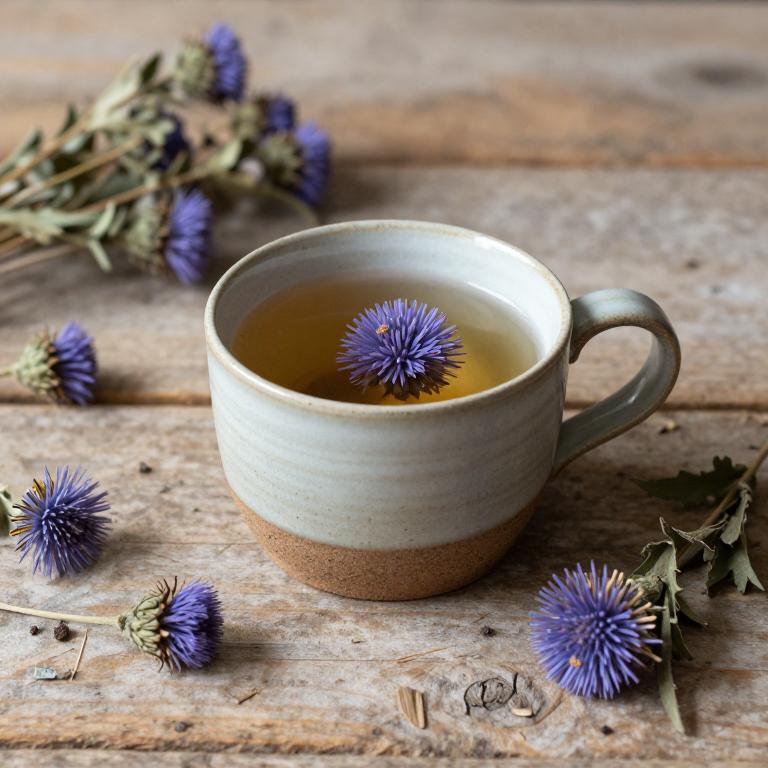 cnicus benedictus tea