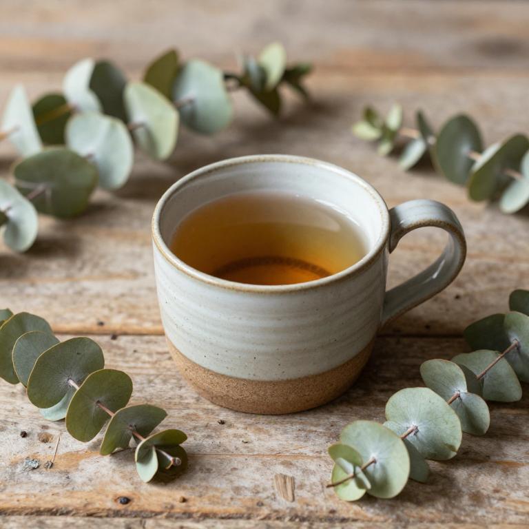 eucalyptus globulus tea