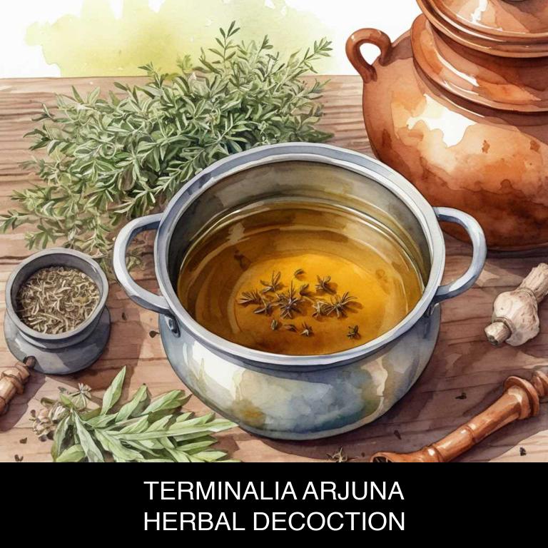 terminalia arjuna herbal decoctions for heart-pain