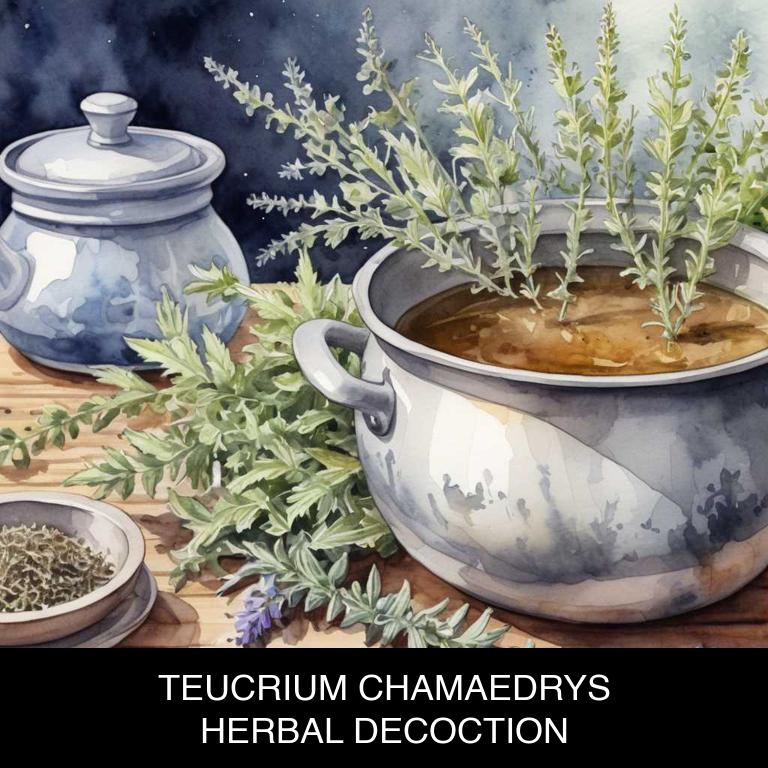 teucrium chamaedrys herbal decoctions for acne