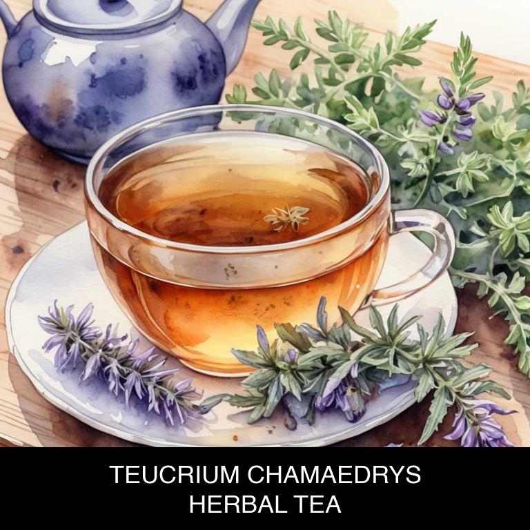 teucrium chamaedrys herbal teas for periodontal-disease