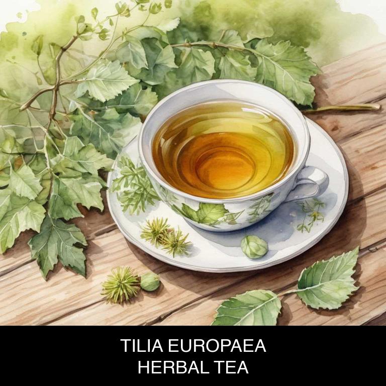 tilia europaea herbal teas for high-blood-pressure