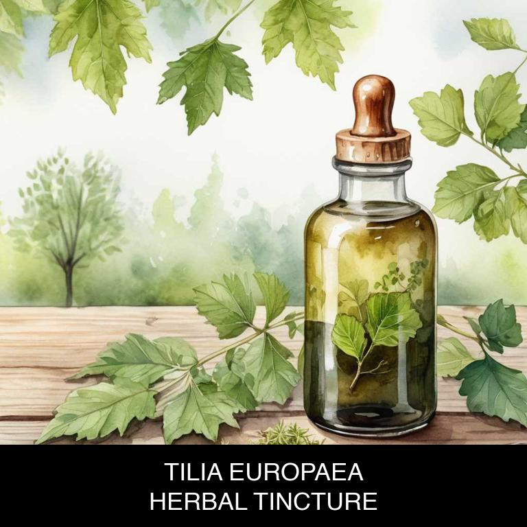 tilia europaea herbal tinctures for anxiety