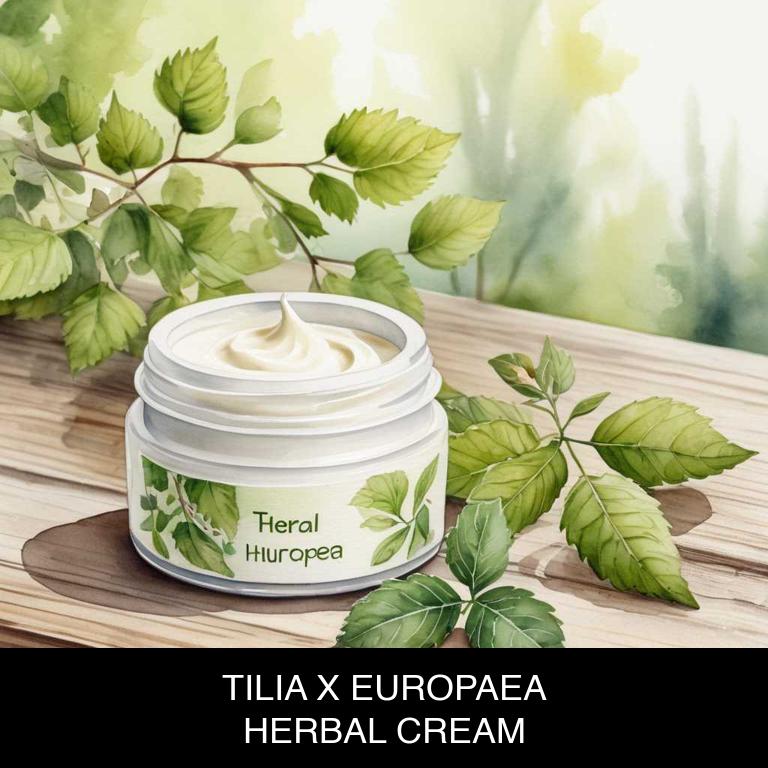 tilia x europaea herbal creams for dizziness