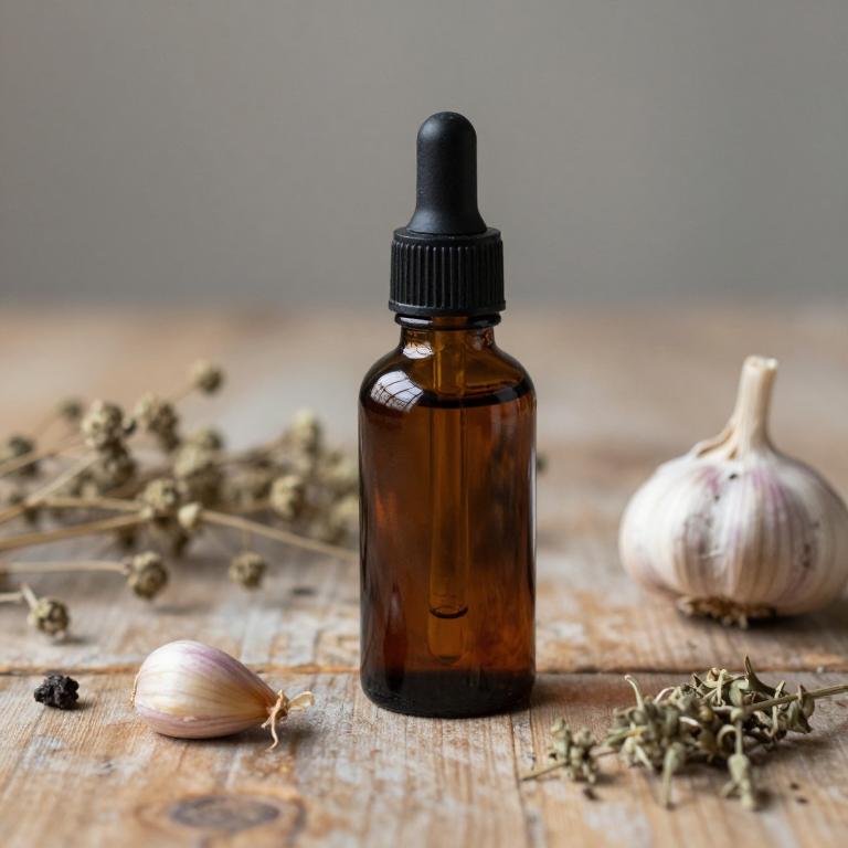 allium sativum tincture