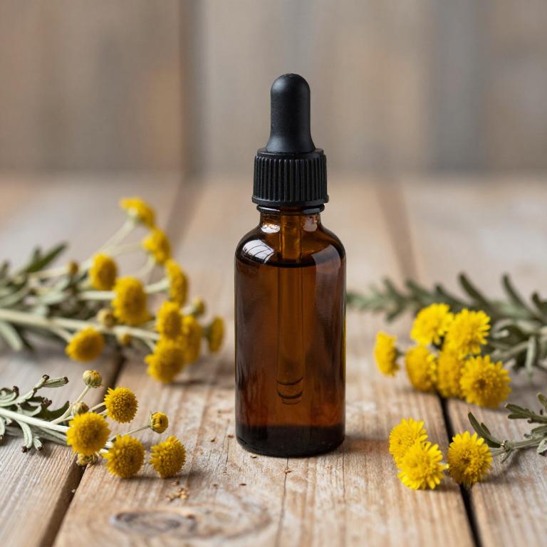 artemisia vulgaris tincture