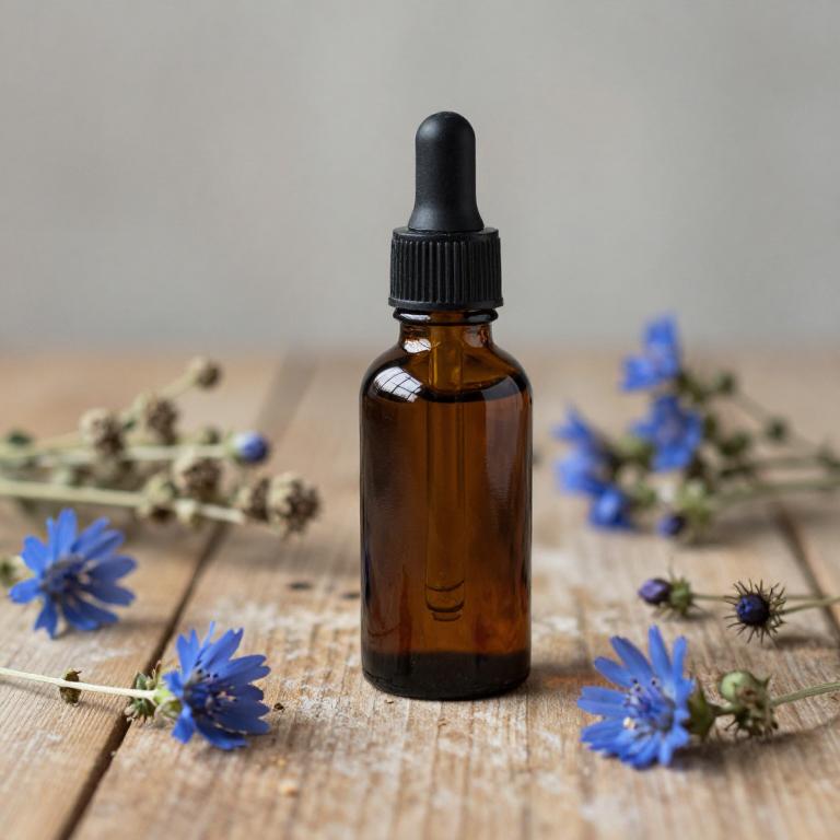cichorium intybus tincture