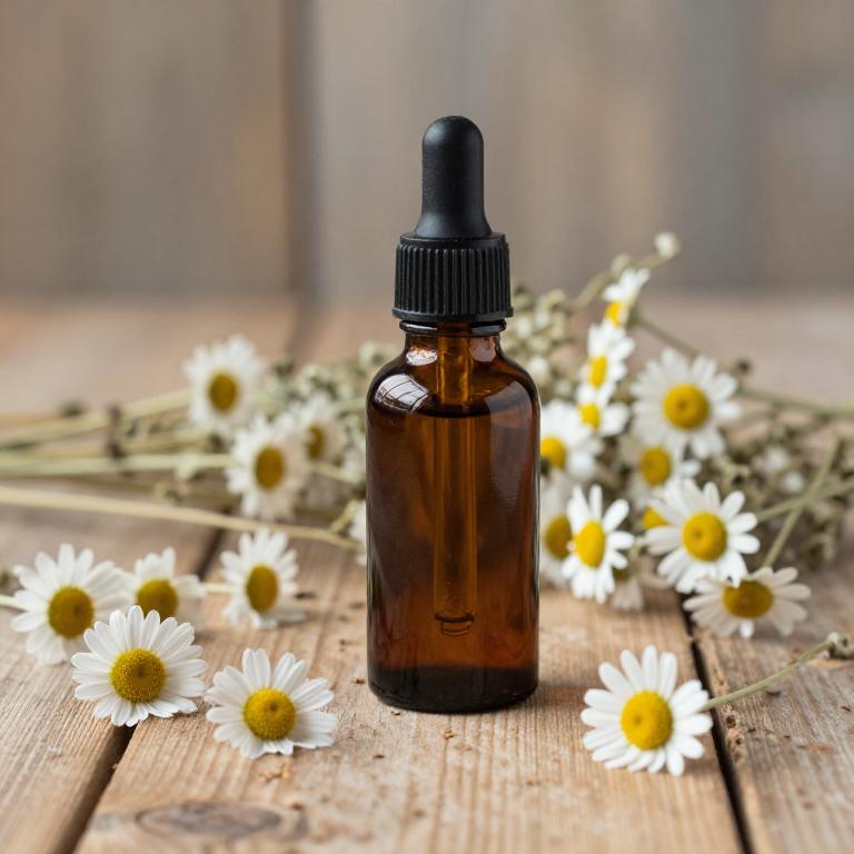 matricaria chamomilla tincture
