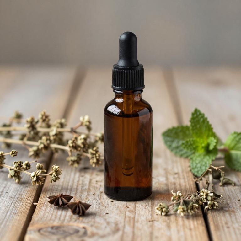 mentha piperita tincture