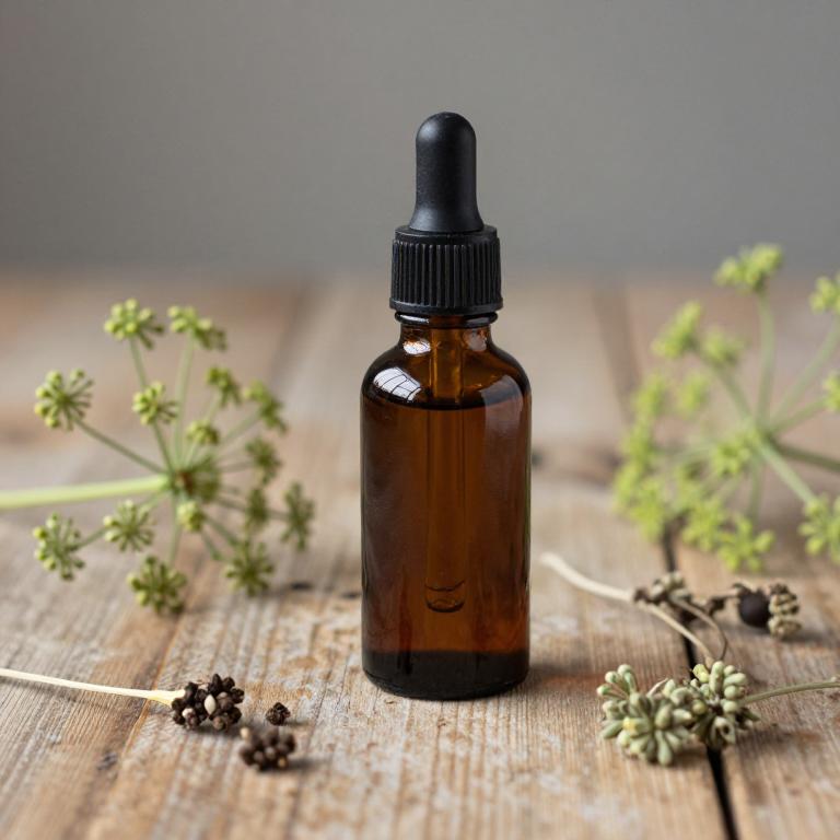 pimpinella anisum tincture