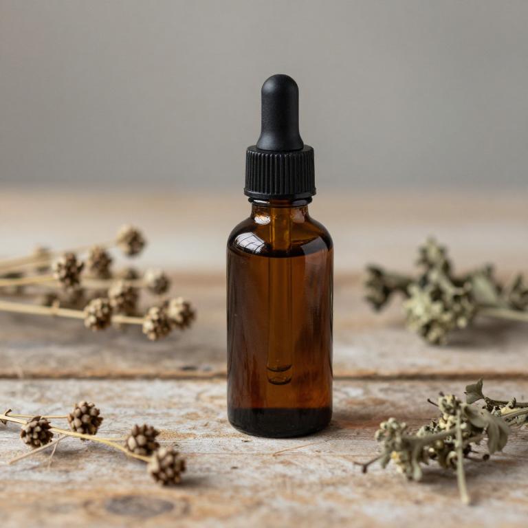 plantago major tincture