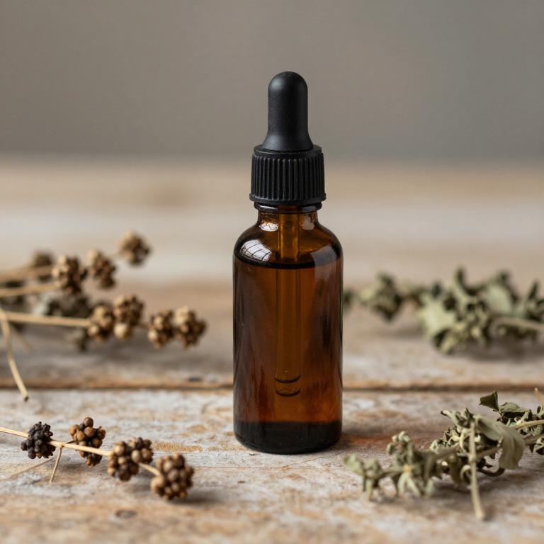 rumex acetosa tincture