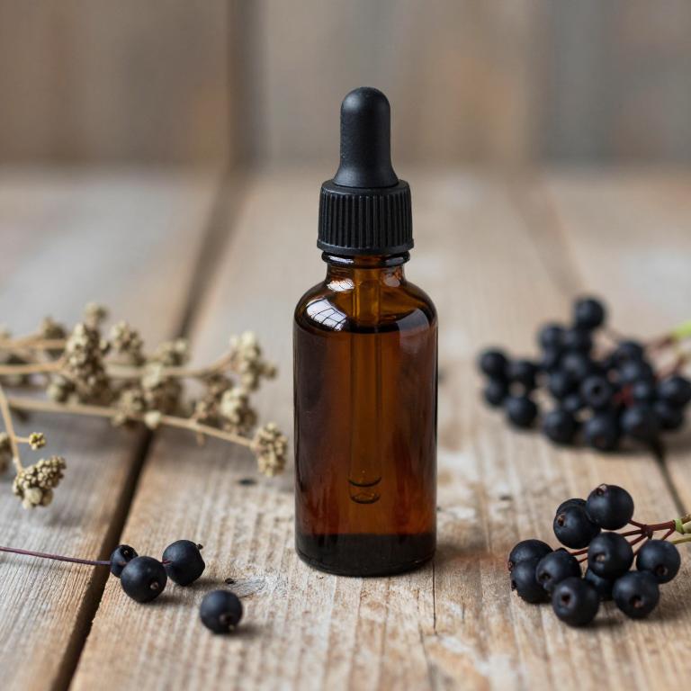 sambucus nigra tincture
