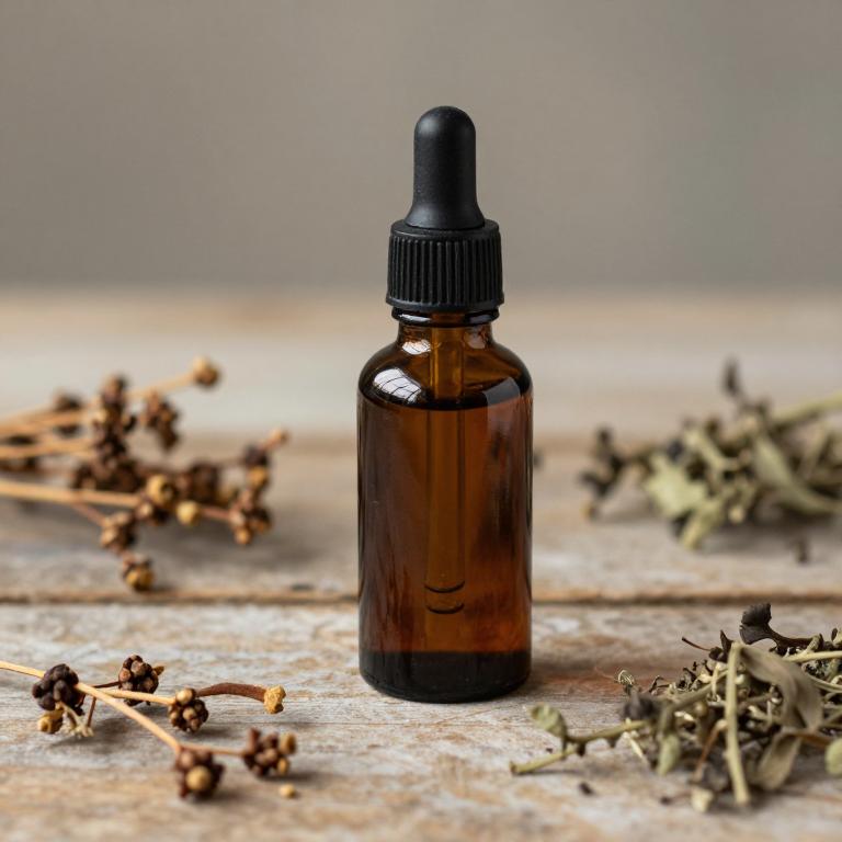 sanguinaria canadensis tincture