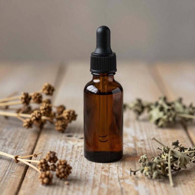 taraxacum officinale tincture