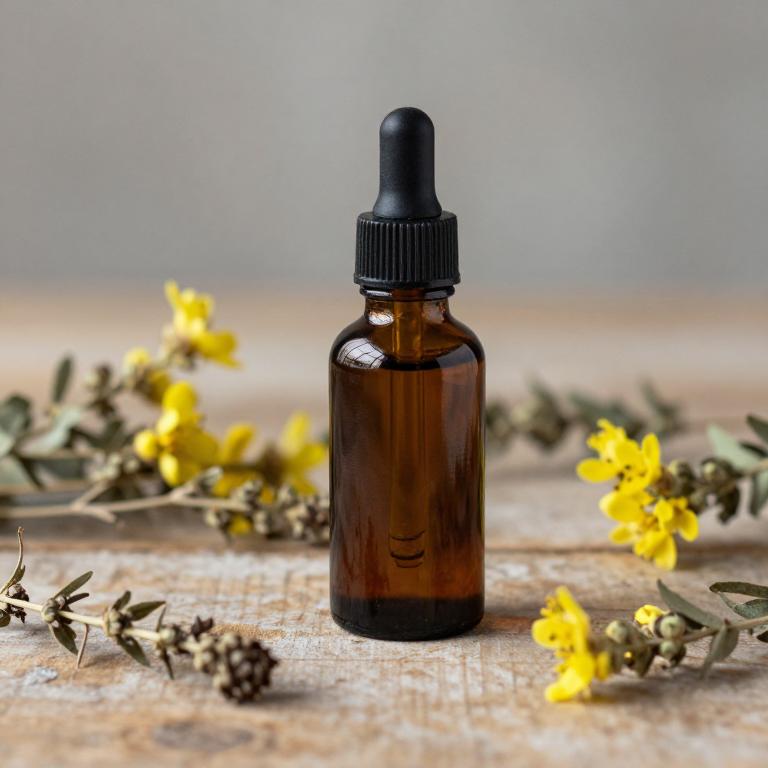 teucrium marum tincture