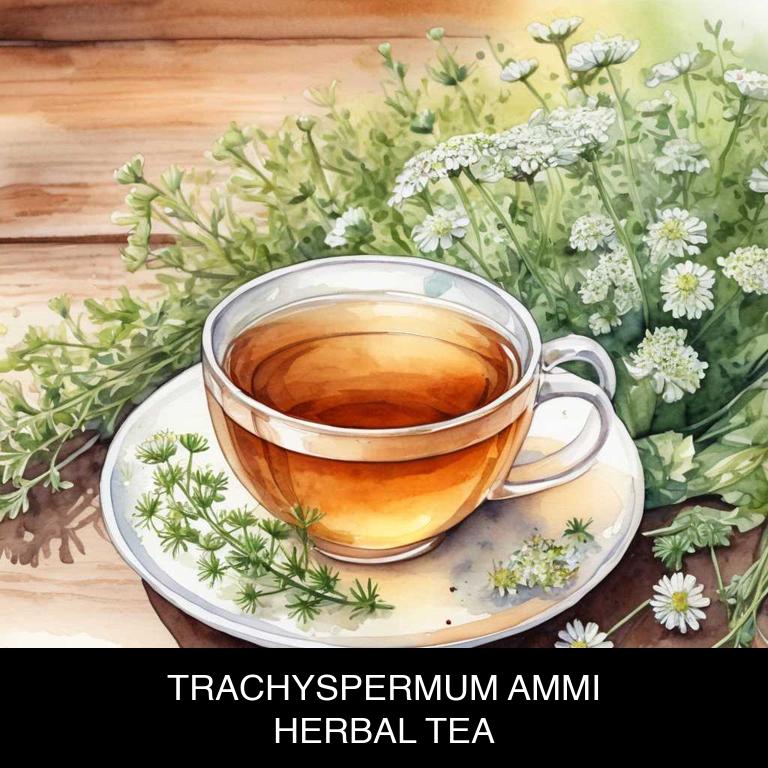 trachyspermum ammi herbal teas for flatulence