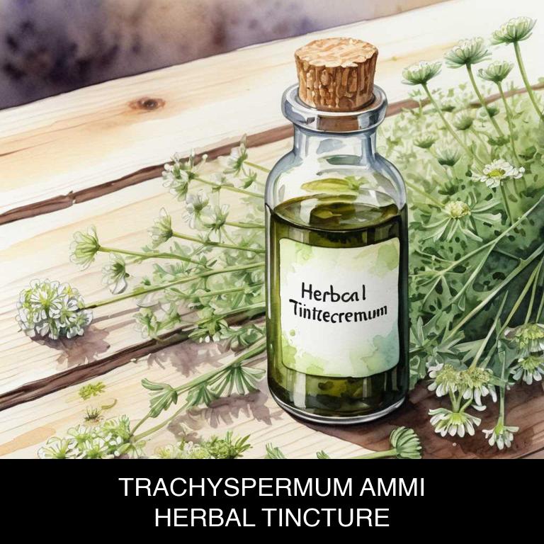 trachyspermum ammi herbal tinctures for toothache