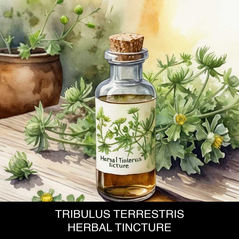 tribulus terrestris herbal tinctures for low-sperm-count