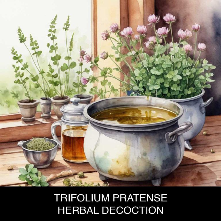 trifolium pratense herbal decoctions for endometriosis-pain