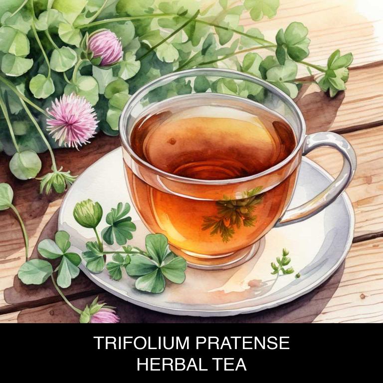 trifolium pratense herbal teas for menopause