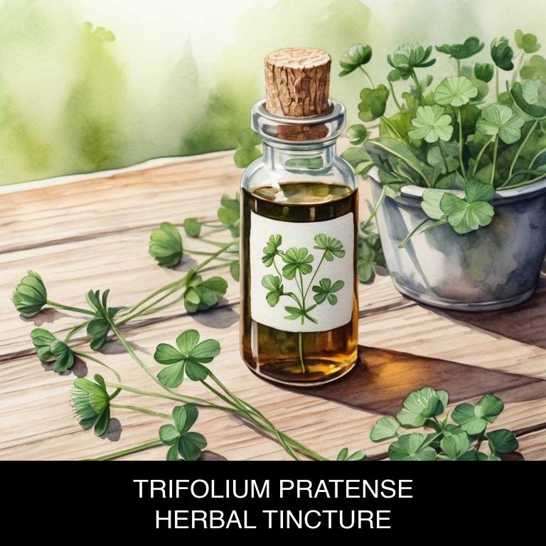 trifolium pratense herbal tinctures for periods-over-bleeding