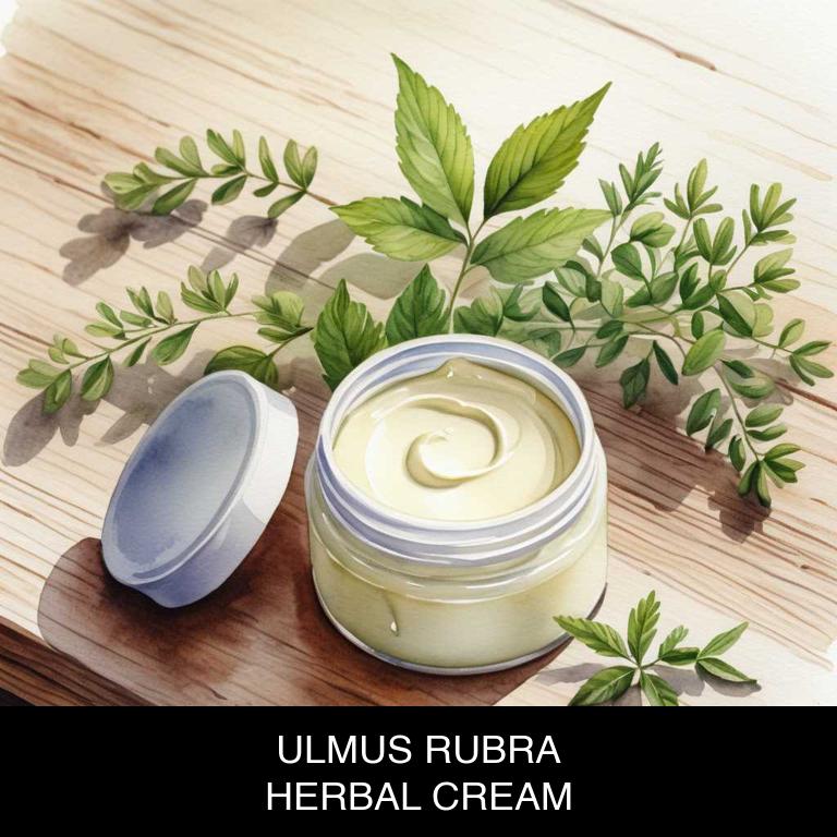 ulmus rubra herbal creams for burns