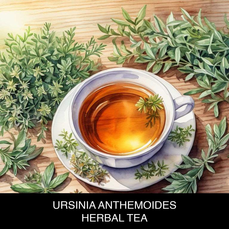 ursinia anthemoides herbal teas for irritable-bowel-syndrome