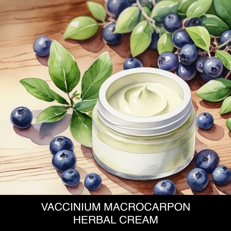 vaccinium macrocarpon herbal creams for periods-over-bleeding