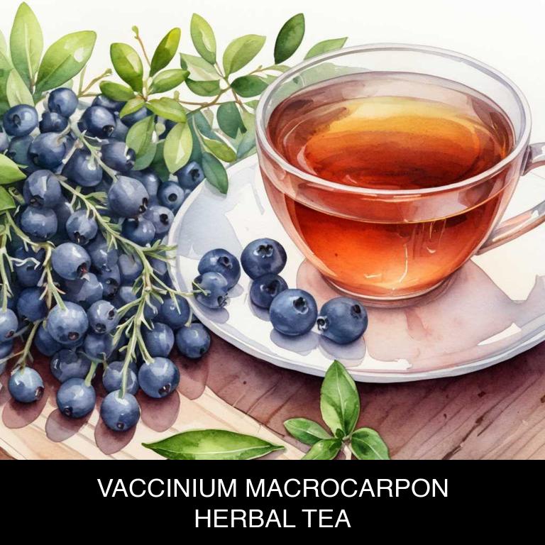 vaccinium macrocarpon herbal teas for headache