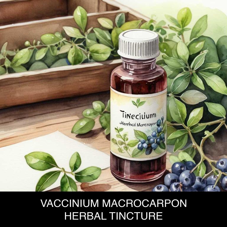 vaccinium macrocarpon herbal tinctures for endometriosis