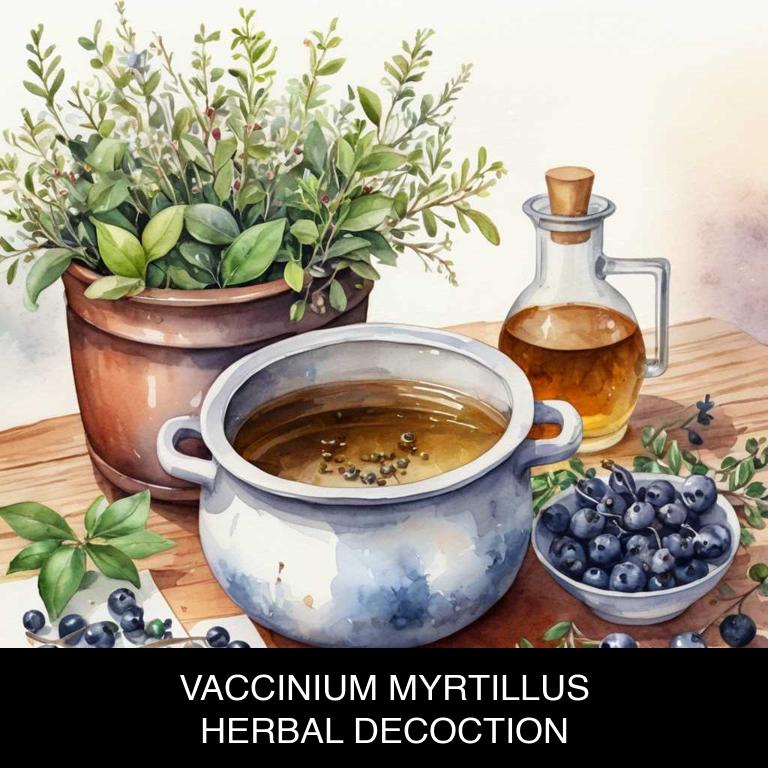 vaccinium myrtillus herbal decoctions for arteriosclerosis