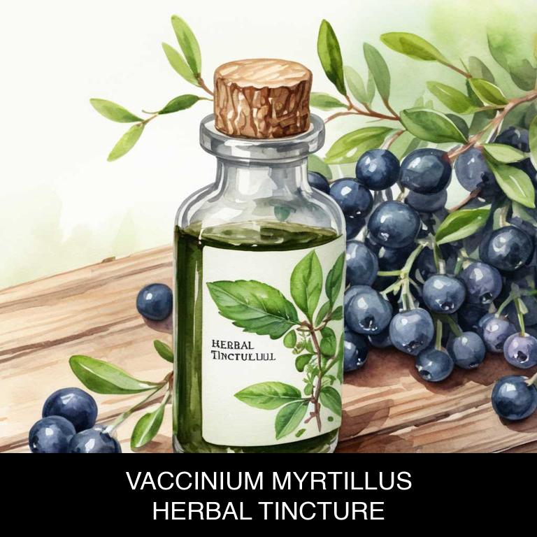 vaccinium myrtillus herbal tinctures for arteriosclerosis