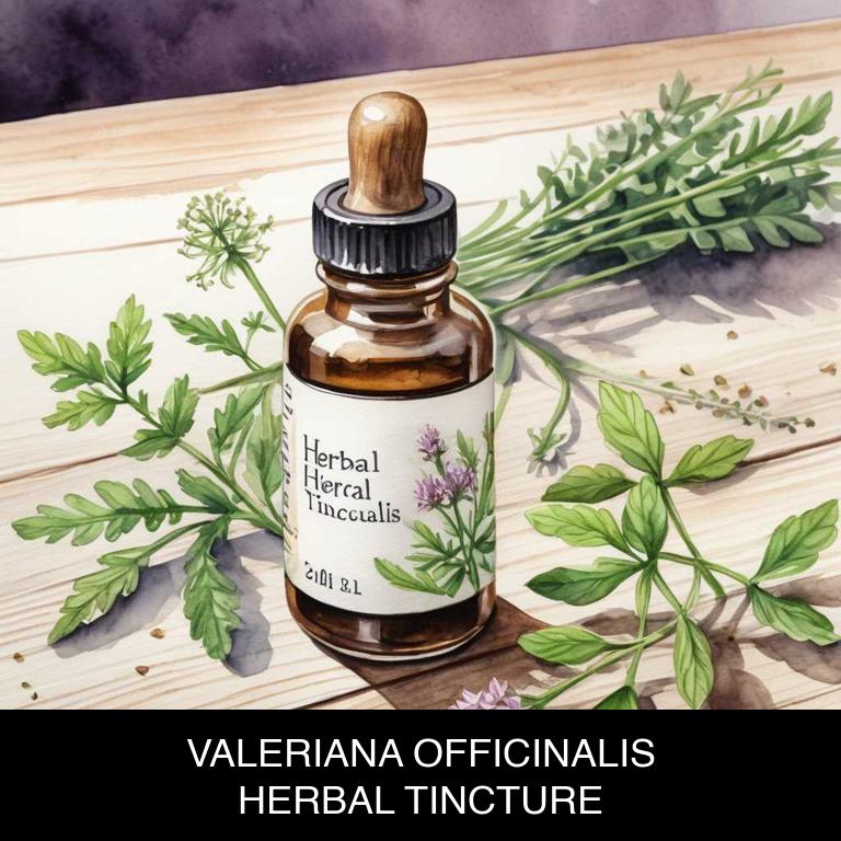 valeriana officinalis herbal tinctures for hypertension