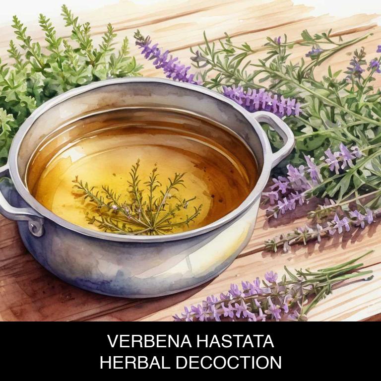 verbena hastata herbal decoctions for endometriosis