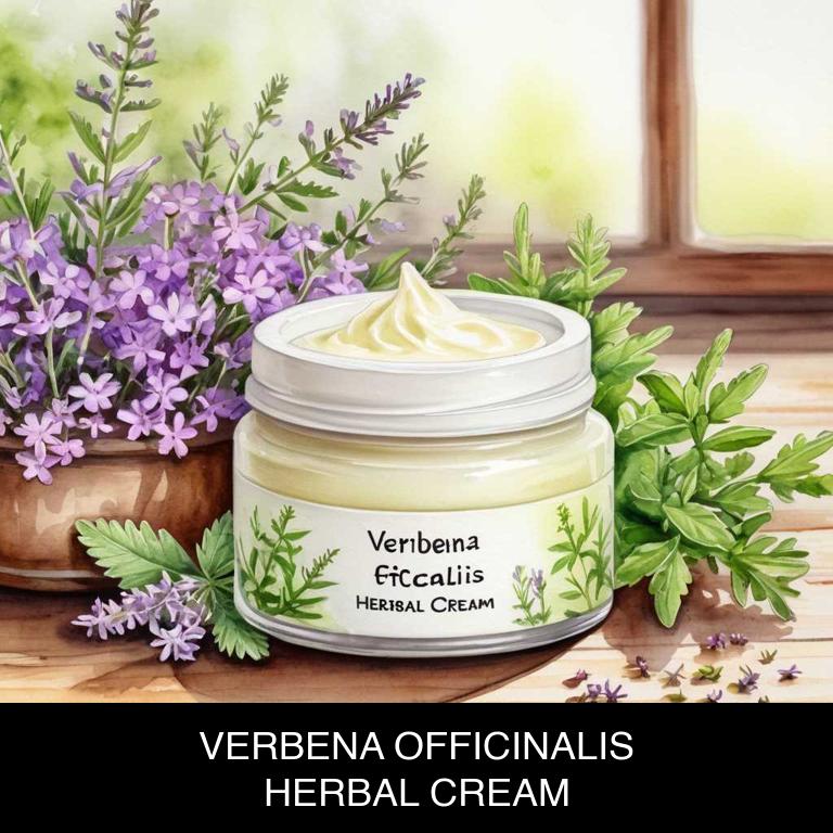 verbena officinalis herbal creams for colds