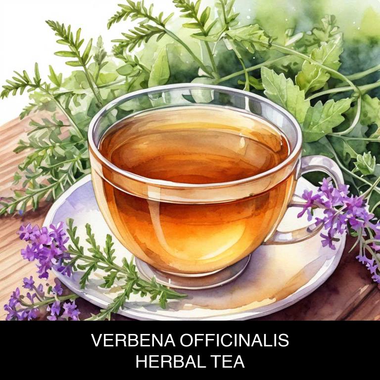 verbena officinalis herbal teas for laryngitis