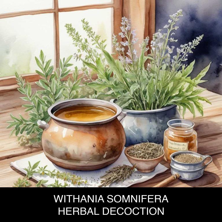 withania somnifera herbal decoctions for arteriosclerosis