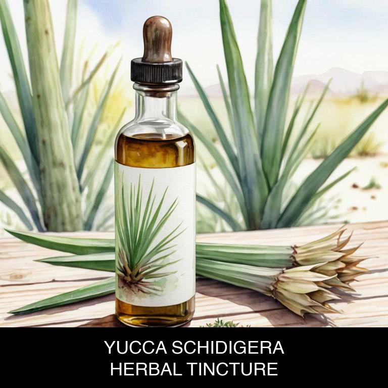 yucca schidigera herbal tinctures for inflammation