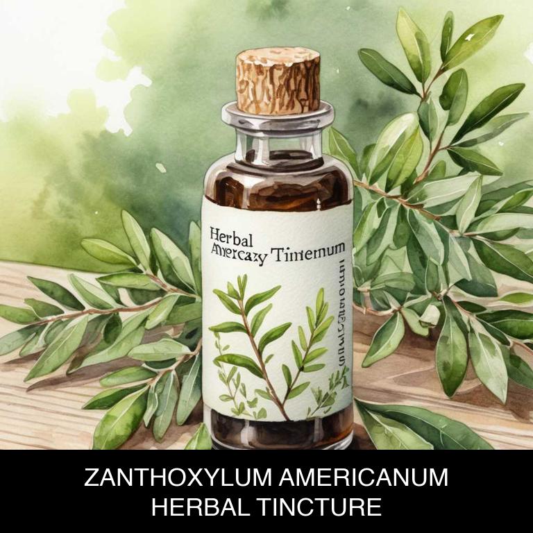 zanthoxylum americanum herbal tinctures for vomiting