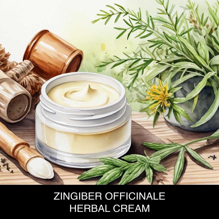 zingiber officinale herbal creams for stomach-cramps