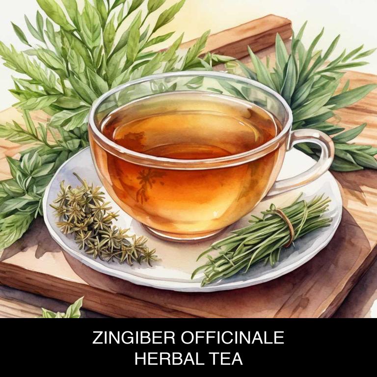 zingiber officinale herbal teas for strep-throat