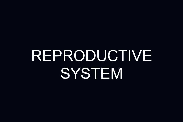 reproductive system overview