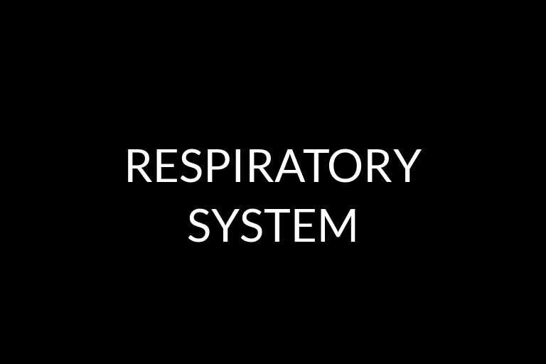 respiratory system